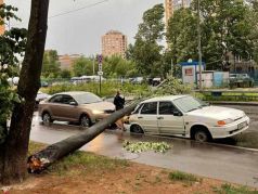 Последствия шторма, Санкт-Петербург, 1.07.24. Фото: t.me/pitertop